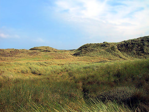 Düne - Niederlande