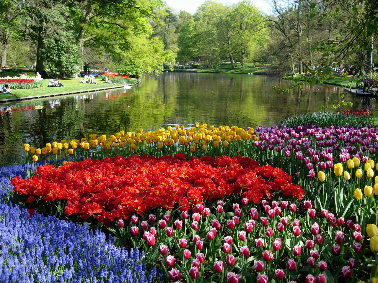 Keukenhof Bild Attraktion  