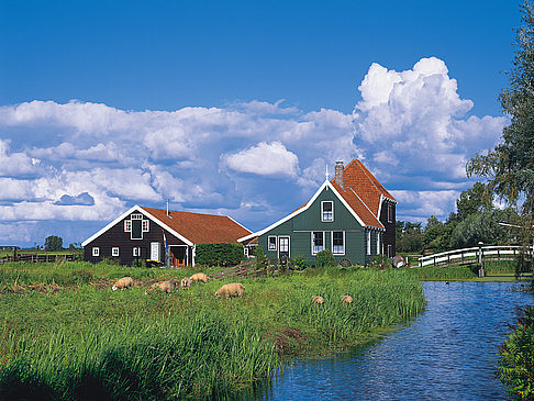 Zaanse Schans Foto 