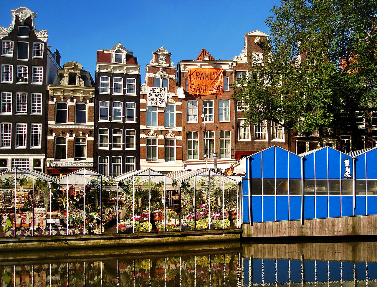 Singel Foto 