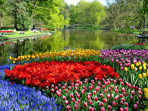 Keukenhof Fotos